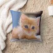 青い目を持つかわいい猫 クッション (ブランケット)