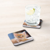 青い目を持つかわいい猫 コースター (右側)