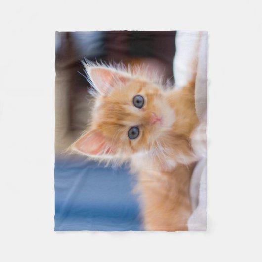 青い目を持つかわいい猫 フリースブランケット (正面)