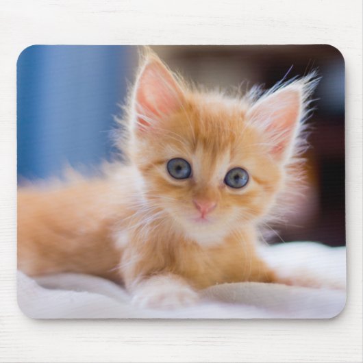 青い目を持つかわいい猫 マウスパッド (正面)