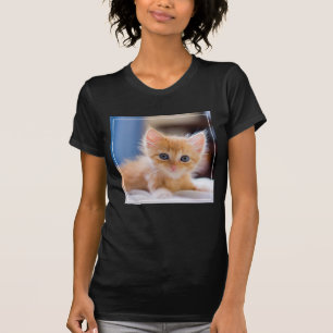 青い目を持つかわいい猫 Tシャツ