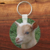 青い目を持つナイジェリア人の矮性山羊 キーホルダー (正面)