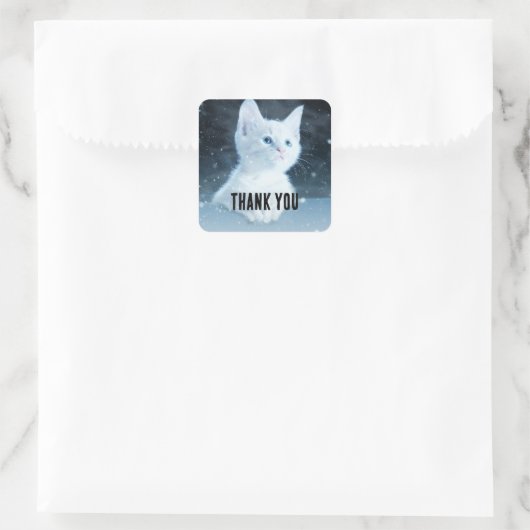 青い目を持つ可愛いかわいらし白い子猫ありがとう スクエアシール (バッグ)