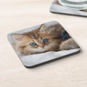 青い目を持つ子ネコ コースター (左側)