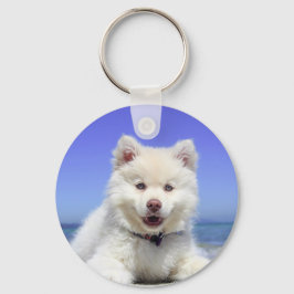 青い目を持つ白いハスキーの子犬 キーホルダー