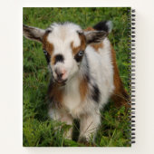 青い目カラフルをしたナイジェリアの矮小ヤギ ノートブック (裏面)