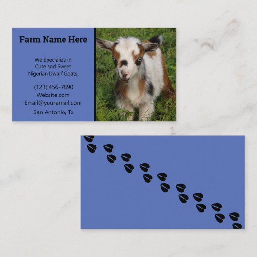 青い目カラフルをしたナイジェリア人矮（わい）ヤギ（がぎ）子（こ） 名刺 (正面/裏面)
