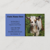 青い目カラフルをしたナイジェリア人矮（わい）ヤギ（がぎ）子（こ） 名刺 (正面)