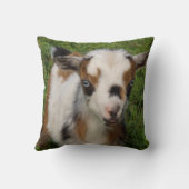 青い目カラフルを持つナイジェリアの矮性山羊 クッション (裏面)