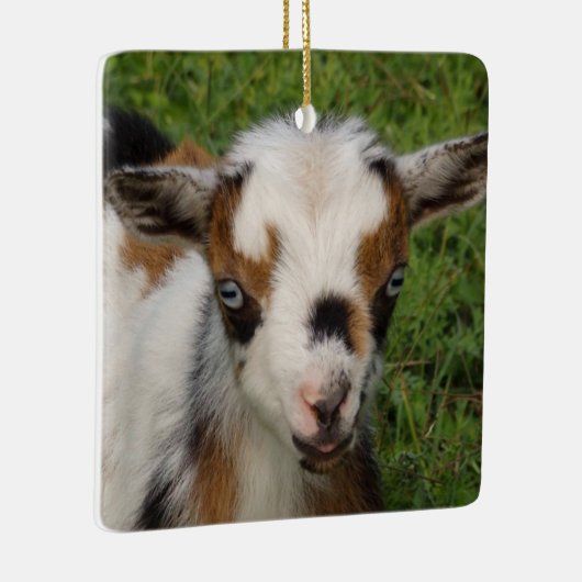 青い目カラフルを持つナイジェリアの矮性山羊 セラミックオーナメント (右)