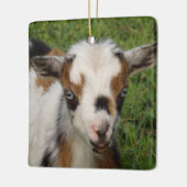 青い目カラフルを持つナイジェリアの矮性山羊 セラミックオーナメント (左)