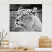 青い目素晴らしをした雌ライオン ポスター (キッチン)