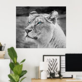 青い目素晴らしをした雌ライオン ポスター (ホームオフィス)