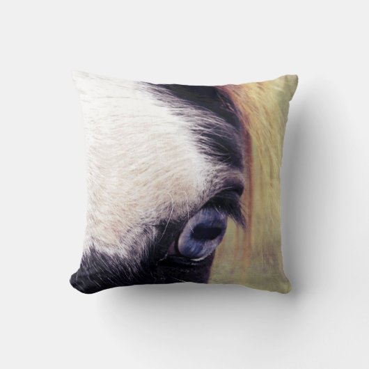 青い目絵を描 クッション (正面)