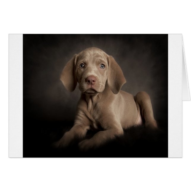 青い目 (正面横)