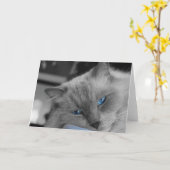 青い目 カード (黄色い花)