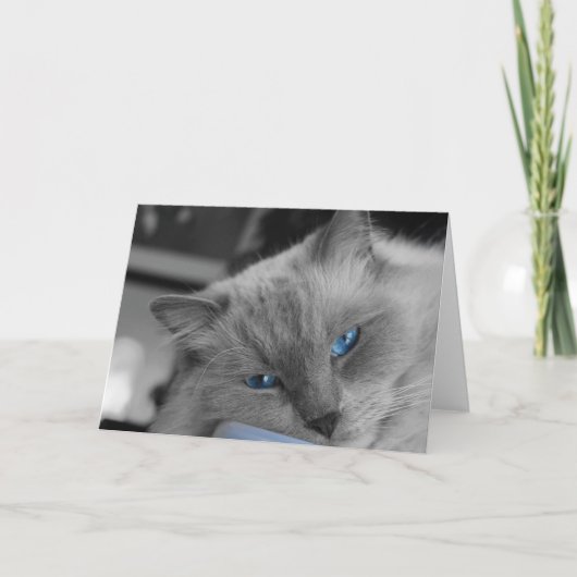 青い目 カード (正面)