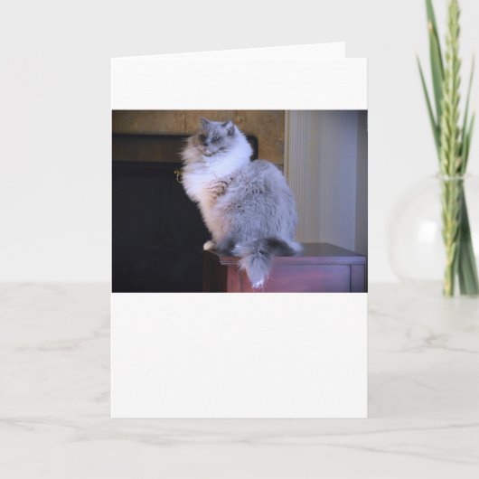 青い目、カード カード (正面)