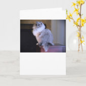 青い目、カード カード (黄色い花)