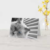 青い目、カード カード (黄色い花)