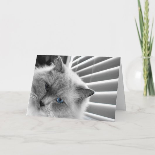 青い目、カード カード (正面)