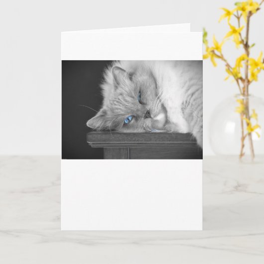 青い目、カード カード (黄色い花)