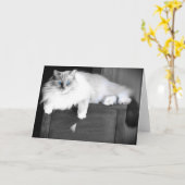 青い目、カード カード (黄色い花)