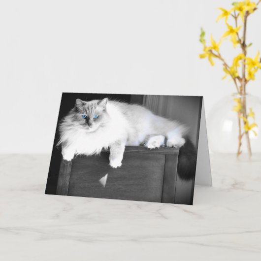 青い目、カード カード (黄色い花)