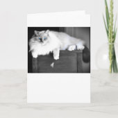 青い目、カード カード (正面)