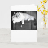 青い目、カード カード (黄色い花)