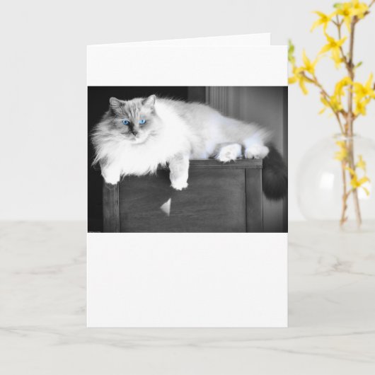 青い目、カード カード (黄色い花)