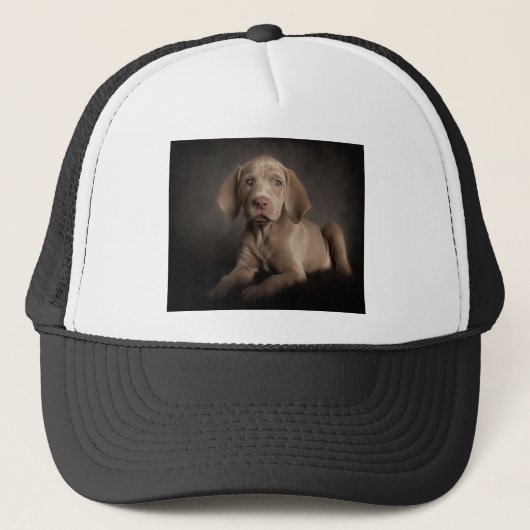 青い目 キャップ (正面)