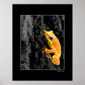 青い目 ポスター (正面)