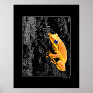 青い目 ポスター