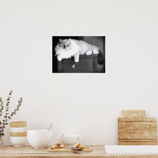 青い目 ポスター (キッチン)