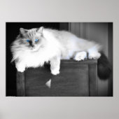 青い目 ポスター (正面)