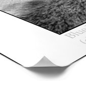 青い目 ポスター (角)