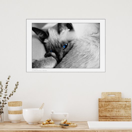 青い目 ポスター (キッチン)