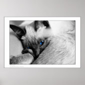 青い目 ポスター (正面)