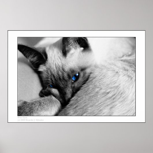 青い目 ポスター (正面)