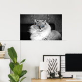 青い目 ポスター (ホームオフィス)