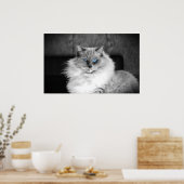 青い目 ポスター (キッチン)