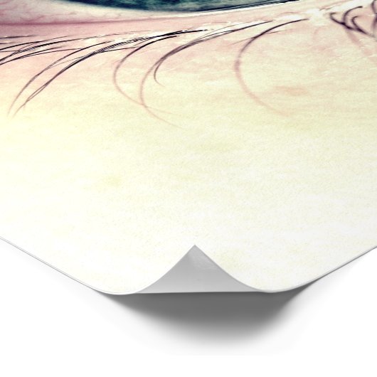 青い目 ポスター (角)