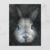 青い目 ポストカード (正面)