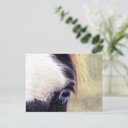 青い目 ポストカード (スタンド正面)