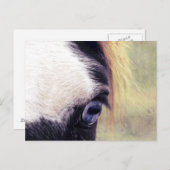 青い目 ポストカード (正面/裏面)