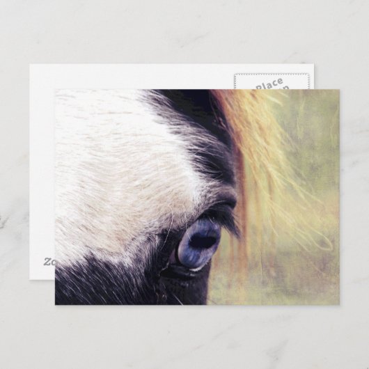 青い目 ポストカード (正面/裏面)