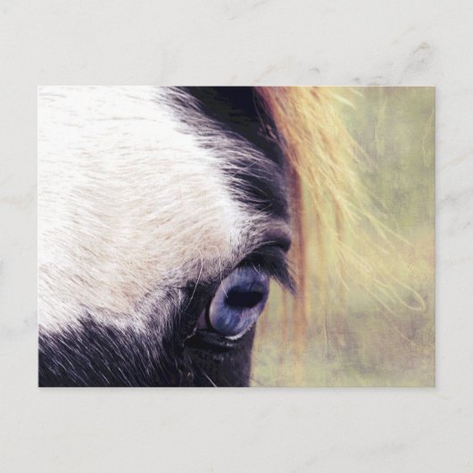 青い目 ポストカード (正面)