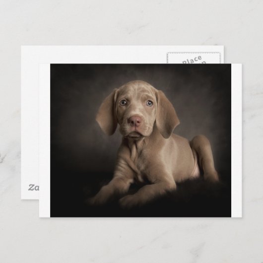 青い目 ポストカード (正面/裏面)