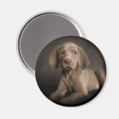 青い目 マグネット (正面/裏面)